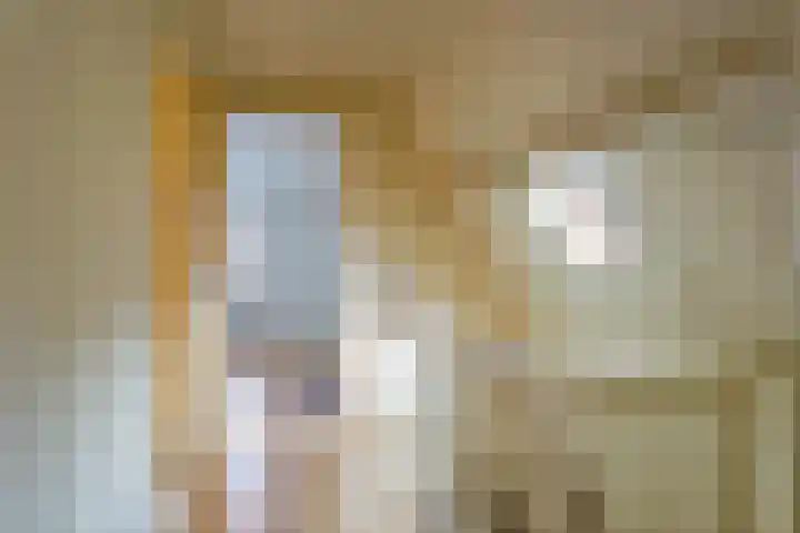 Smedenstraat 20 A Deventer thumbnail 13