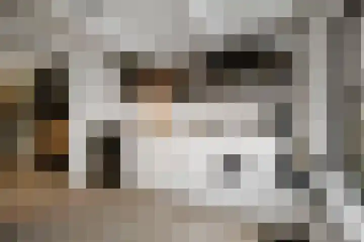 Smedenstraat 82 Deventer thumbnail 38
