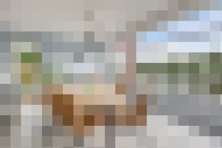 Smederij 19 Dronten thumbnail 18