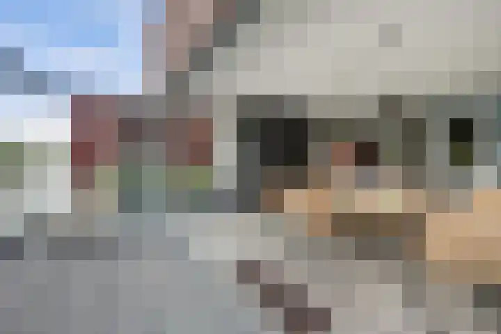 Smederij 19 Dronten thumbnail 19