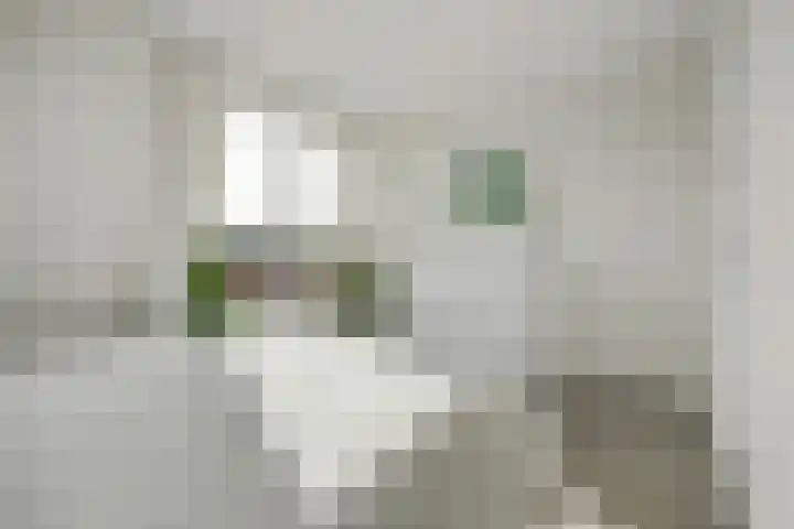 Smederij 19 Dronten thumbnail 25