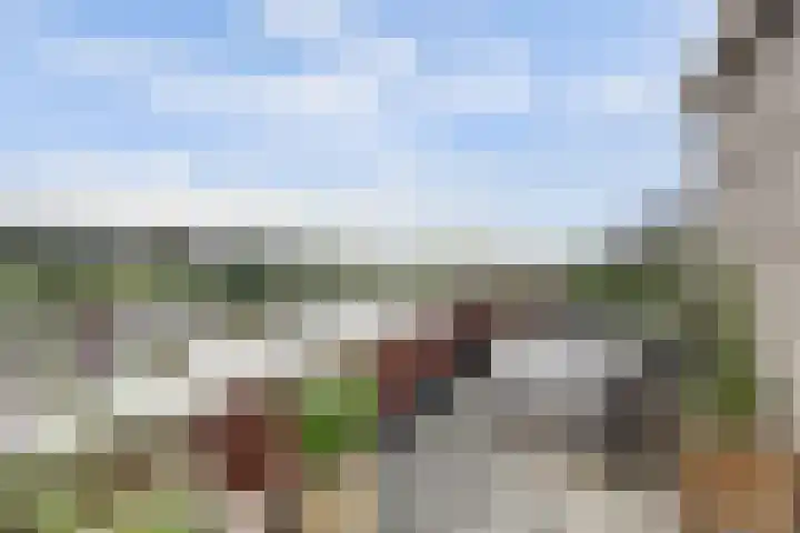 Smederij 19 Dronten thumbnail 26