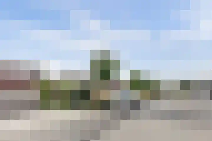 Smederij 19 Dronten thumbnail 34