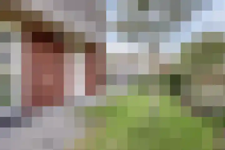 Smederij 19 Dronten thumbnail 37