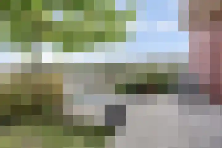 Smederij 19 Dronten thumbnail 39