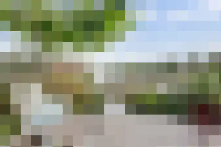 Smederij 19 Dronten thumbnail 40