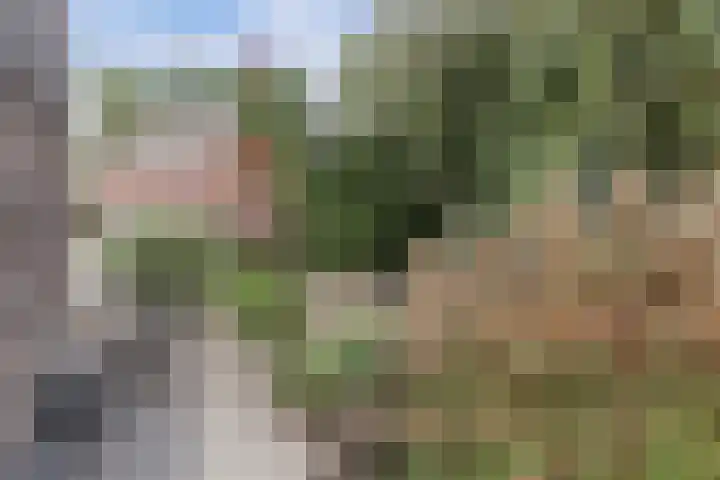 Smederij 19 Dronten thumbnail 43