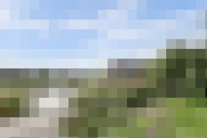 Smederij 19 Dronten thumbnail 44
