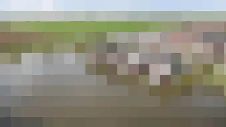 Smederij 19 Dronten thumbnail 48