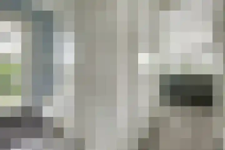 Smederij 19 Dronten thumbnail 7