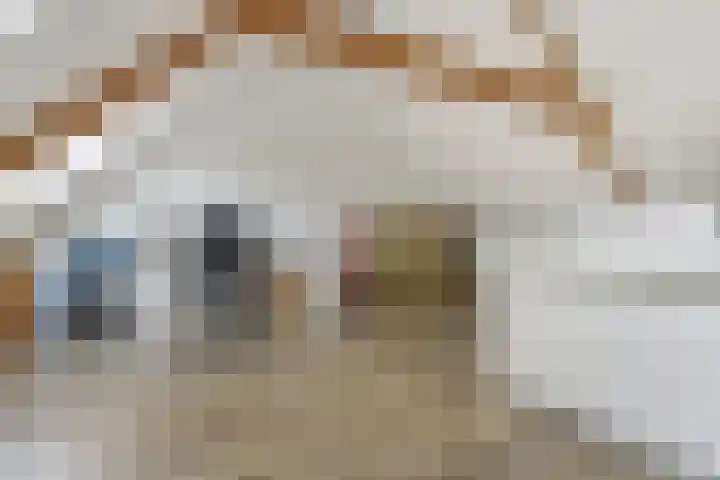 Smederij 6 Dronten thumbnail 15