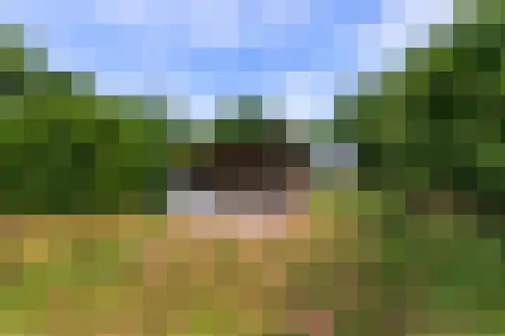 Smederij 6 Dronten thumbnail 16