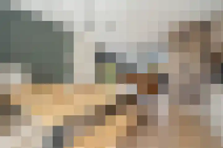 Smederij 6 Dronten thumbnail 18