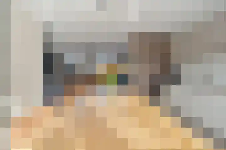 Smederij 6 Dronten thumbnail 19