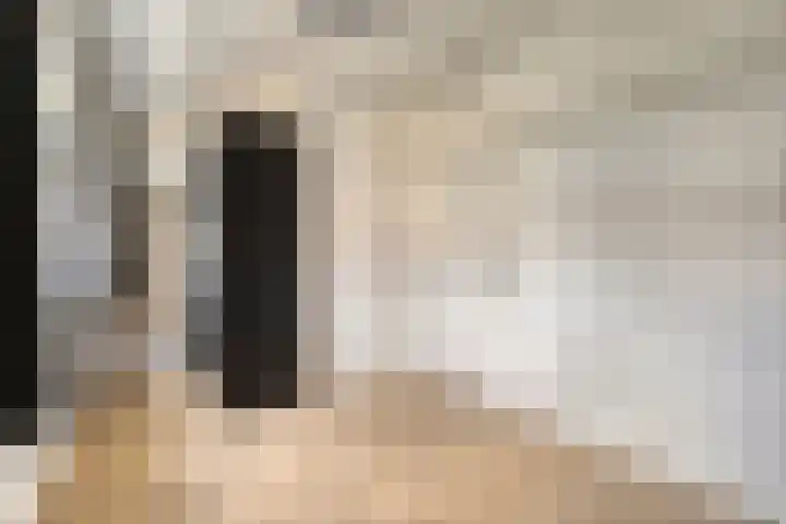 Smederij 6 Dronten thumbnail 46