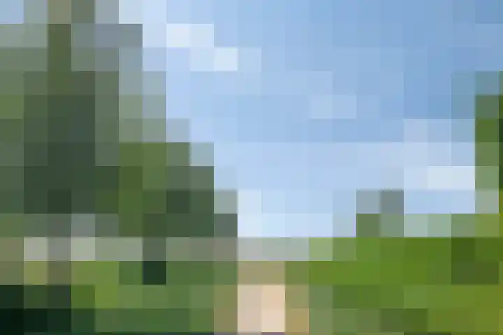 Smederij 66 Dronten thumbnail 31