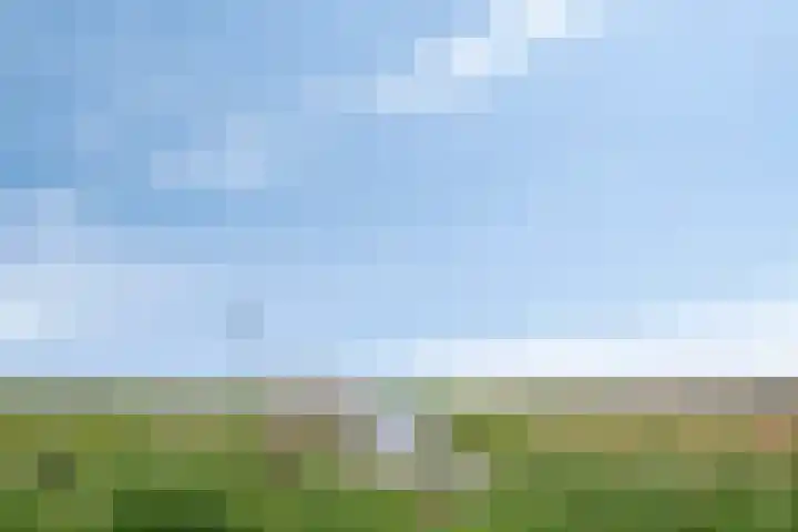 Smederij 66 Dronten thumbnail 32