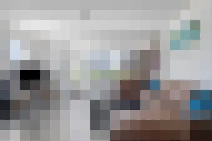 Smederij 66 Dronten thumbnail 4