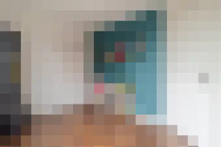 Smeeke Ven 101 Assendelft thumbnail 18