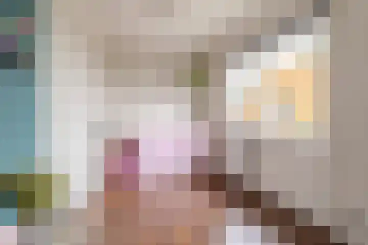 Smeeke Ven 101 Assendelft thumbnail 19