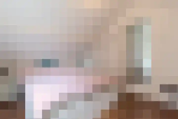 Smeeke Ven 101 Assendelft thumbnail 20