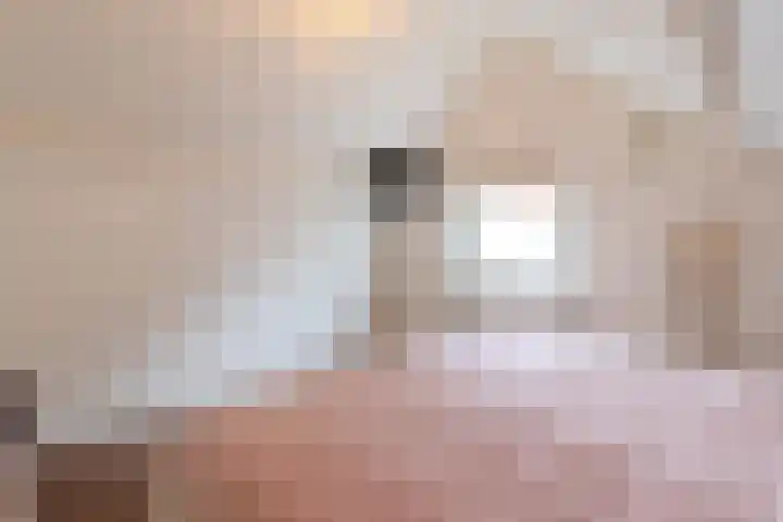 Smeeke Ven 101 Assendelft thumbnail 21