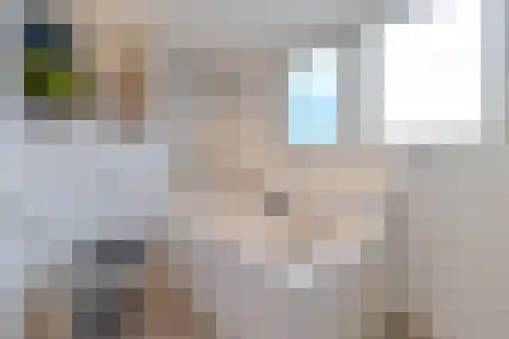 Smeeke Ven 101 Assendelft thumbnail 22