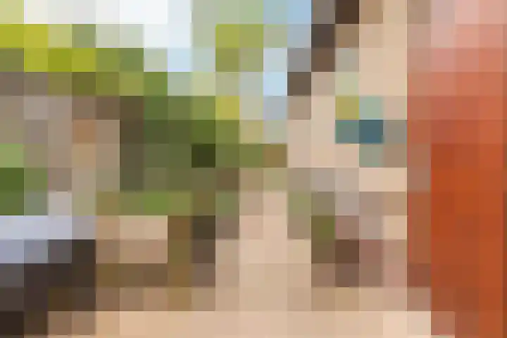 Smeeke Ven 101 Assendelft thumbnail 25