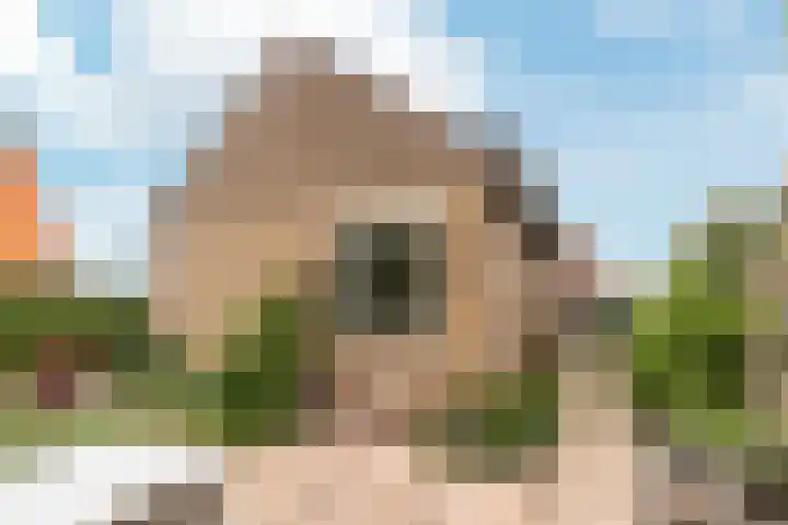 Smeeke Ven 101 Assendelft thumbnail 26