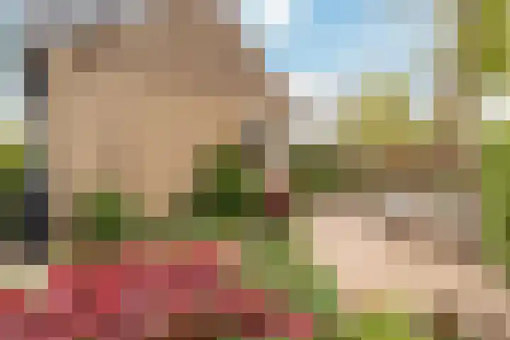 Smeeke Ven 101 Assendelft thumbnail 27