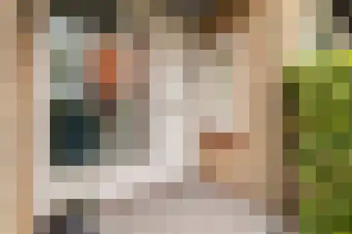 Smeeke Ven 101 Assendelft thumbnail 31