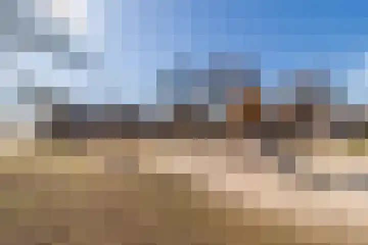 Smeeke Ven 101 Assendelft thumbnail 33