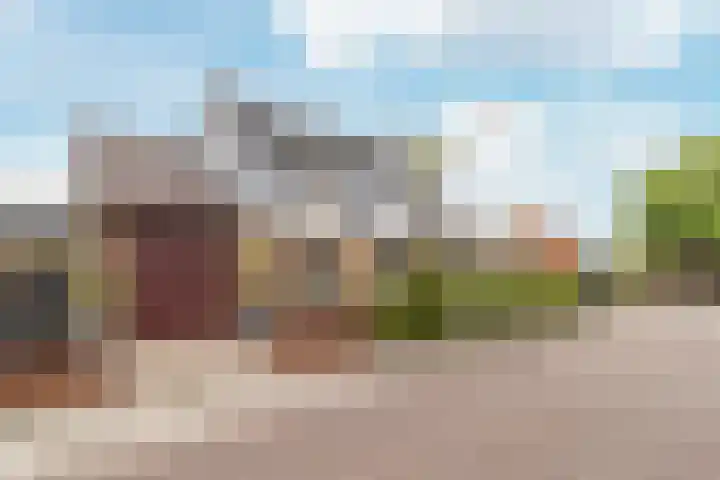 Smeeke Ven 101 Assendelft thumbnail 39