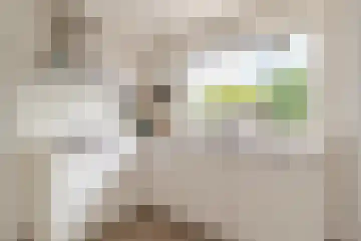 Smeeke Ven 101 Assendelft thumbnail 4