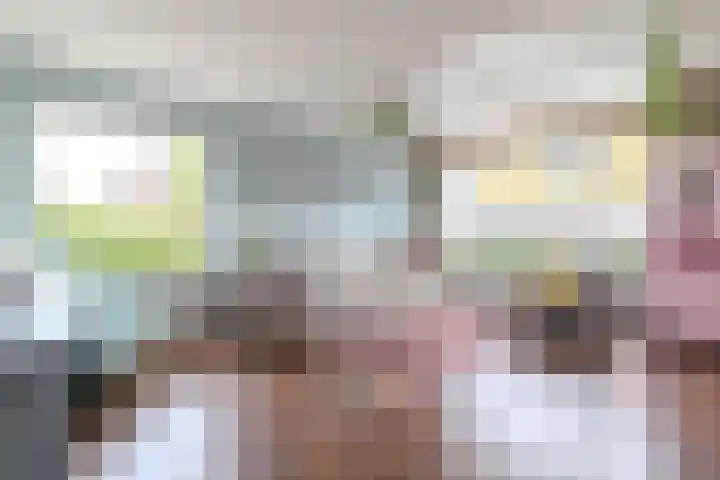 Smeeke Ven 101 Assendelft thumbnail 5