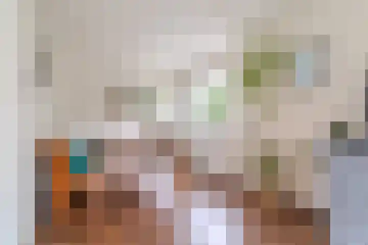 Smeeke Ven 101 Assendelft thumbnail 7