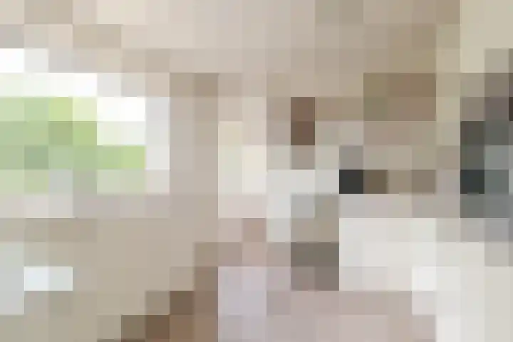 Smeeke Ven 101 Assendelft thumbnail 9