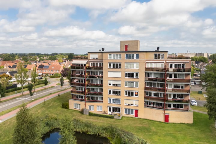 Smeetsmastins 12 in Leeuwarden foto