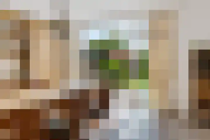 Smelbrêge 5 Stiens thumbnail 19