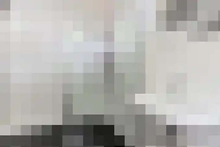 Smelbrêge 5 Stiens thumbnail 32