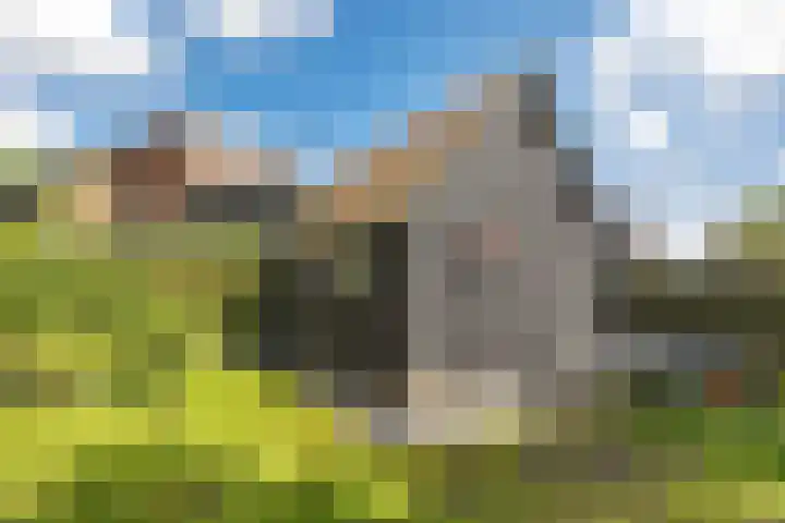 Smelbrêge 5 Stiens thumbnail 42