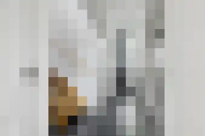 Smelbrêge 5 Stiens thumbnail 5