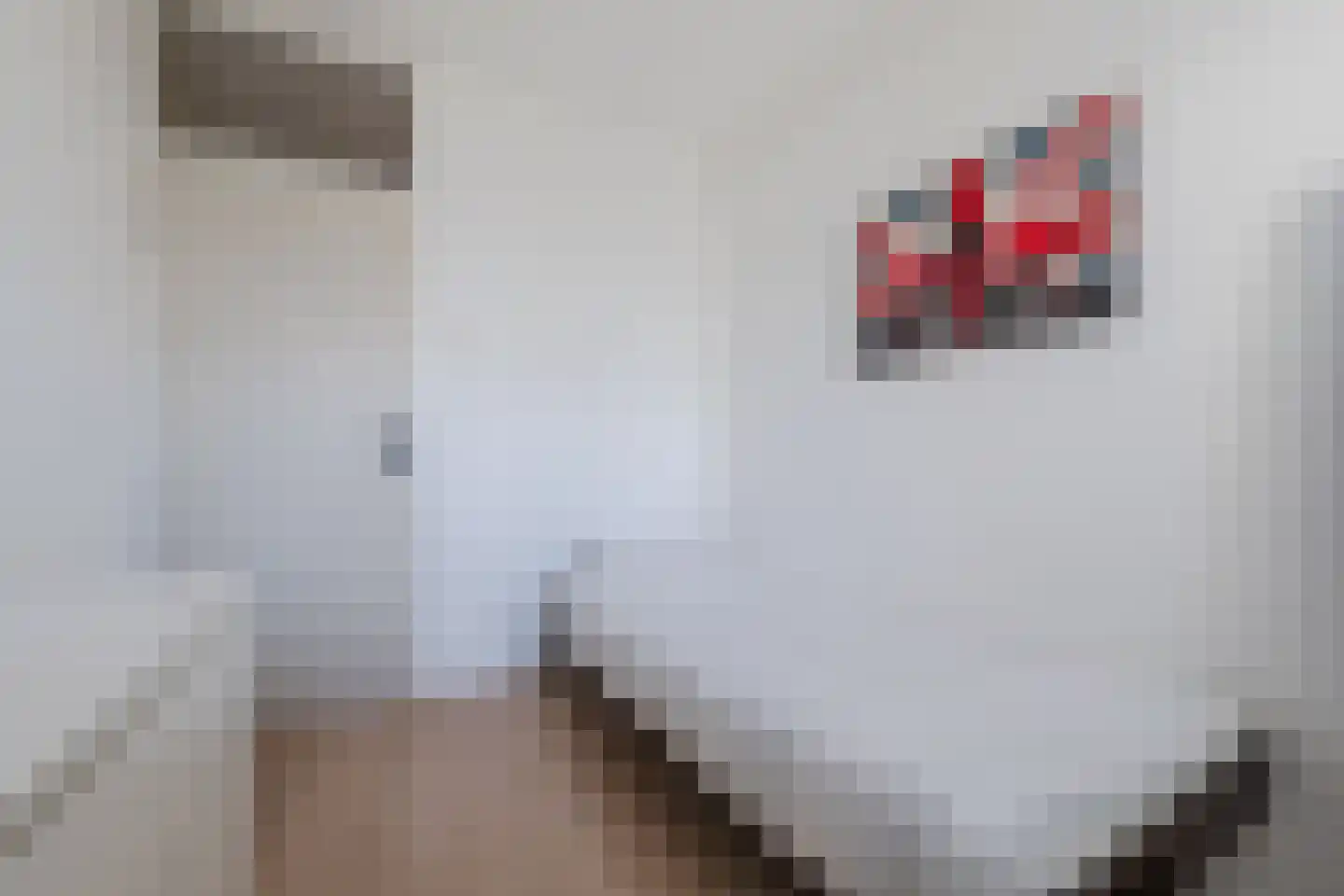 Smetanalaan 262 Assen thumbnail 18
