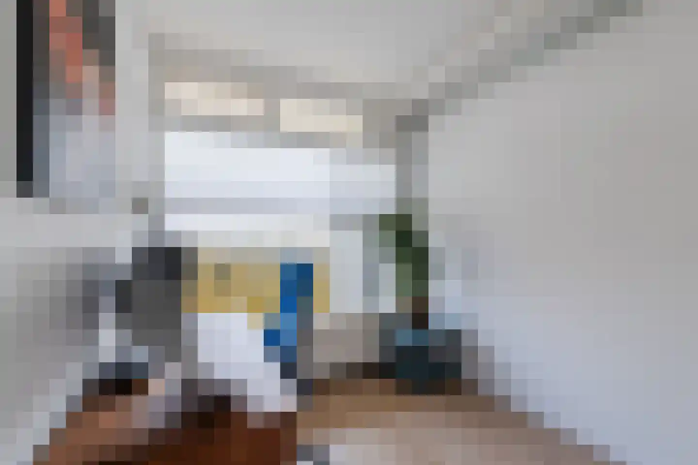 Smetanalaan 262 Assen thumbnail 20