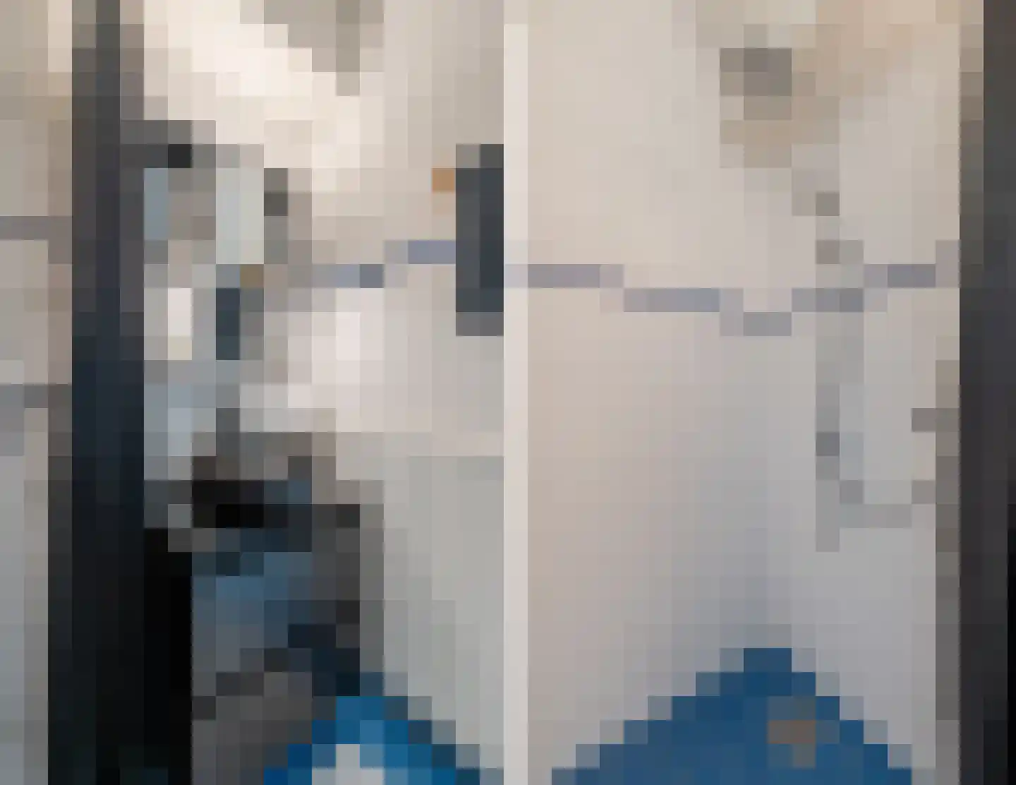 Smetanalaan 262 Assen thumbnail 25