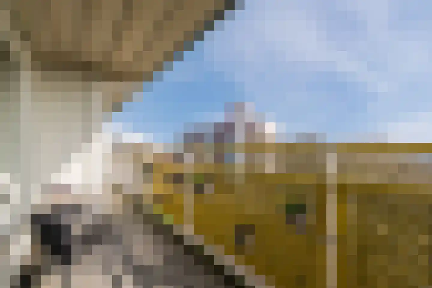 Smetanalaan 262 Assen thumbnail 27