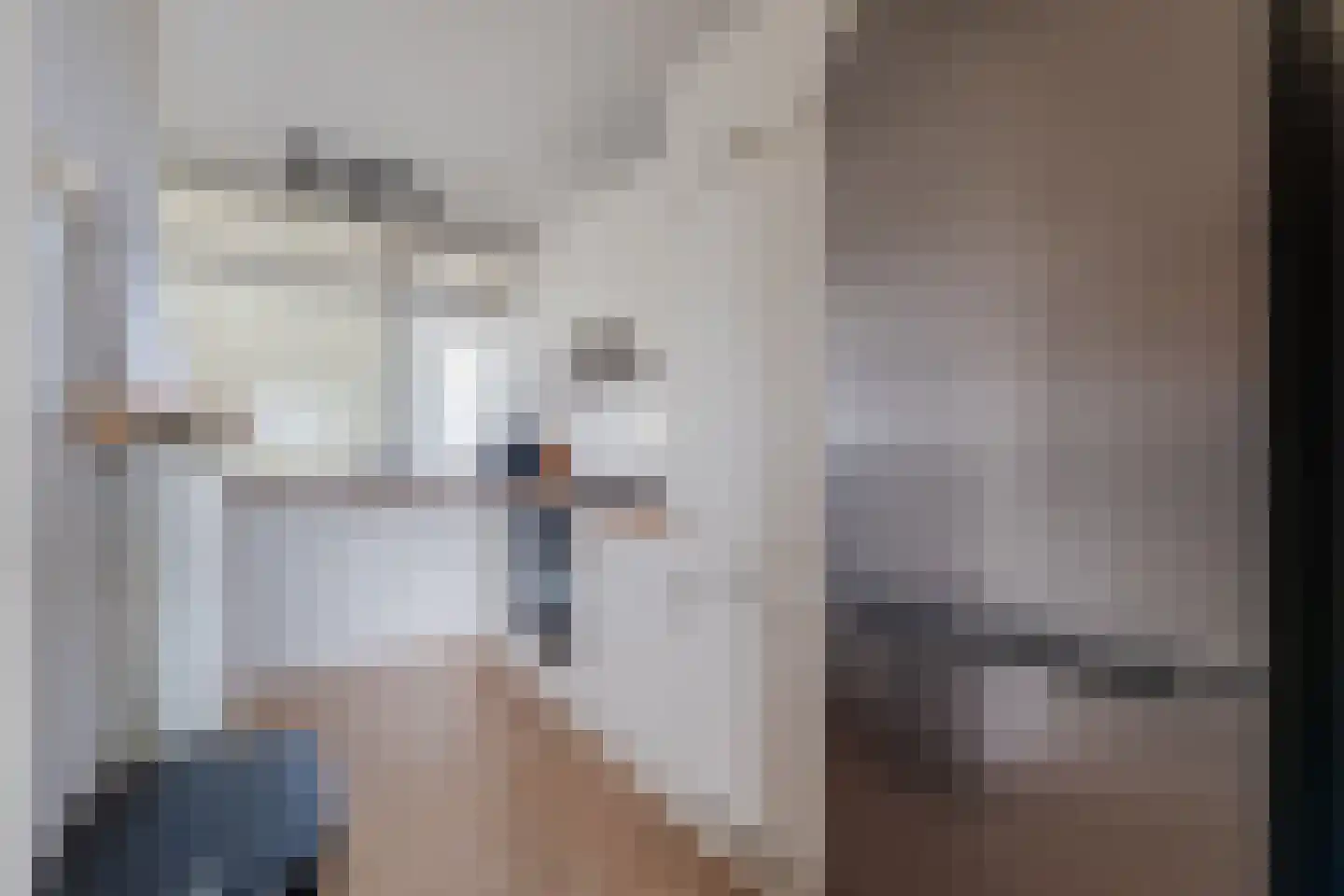 Smetanalaan 262 Assen thumbnail 8
