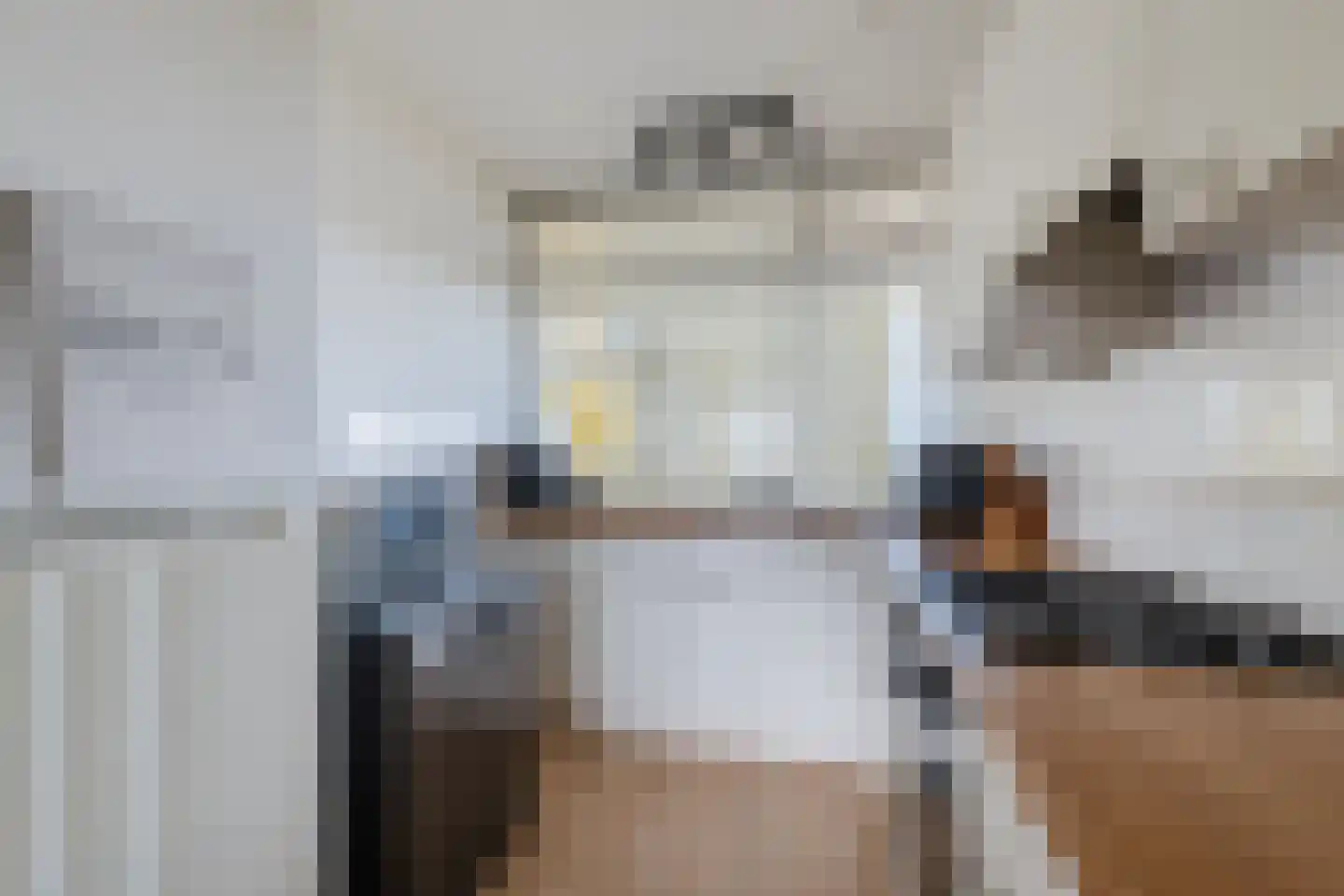 Smetanalaan 262 Assen thumbnail 9