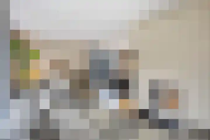 Smidse 36 Schaijk thumbnail 15