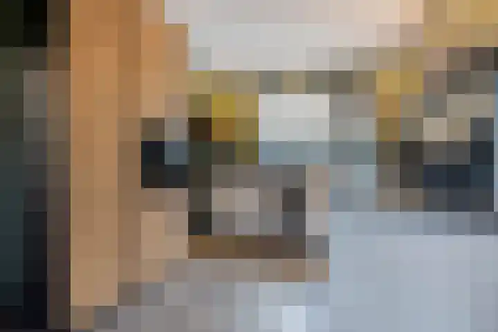 Smidse 36 Schaijk thumbnail 18